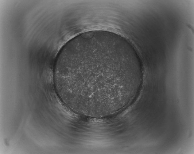 X0000100491505200806271224