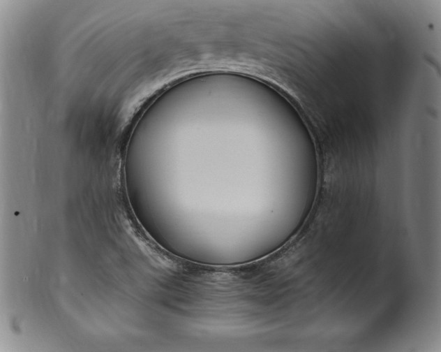 X0000100491507200806271224