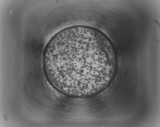 X0000100491508200806271224