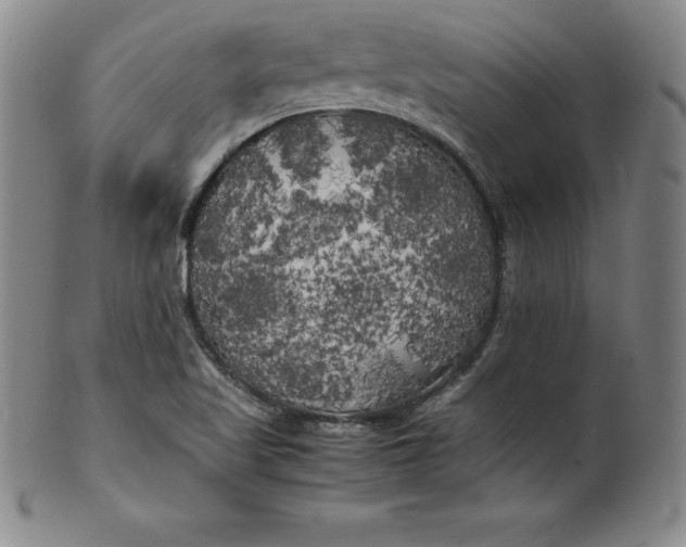 X0000100491509200806271224