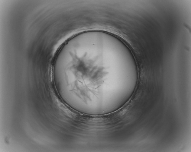 X0000100491510200806271225