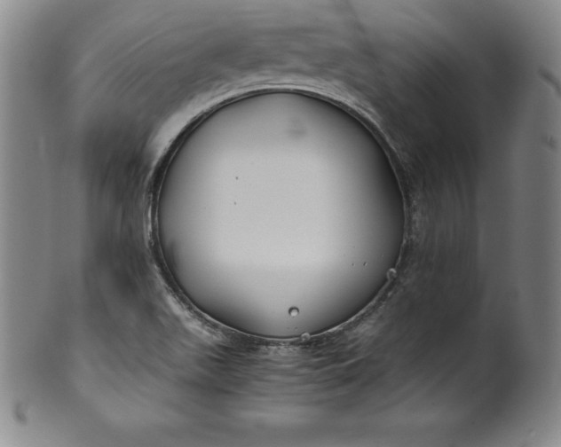 X0000100491511200806271225