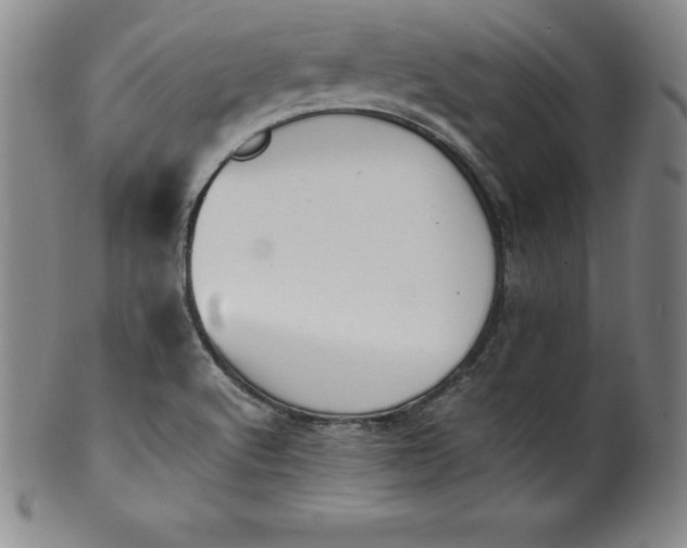 X0000100491512200806271225