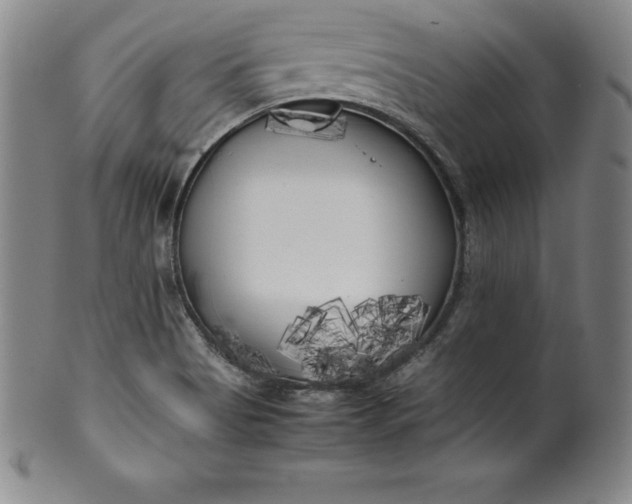 X0000100491513200806271225