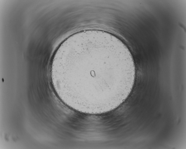 X0000100491514200806271225