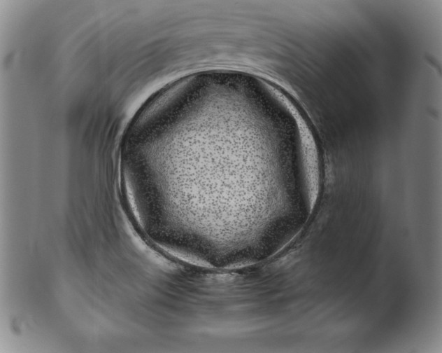 X0000100491515200806271225