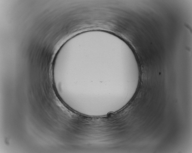 X0000100491516200806271225