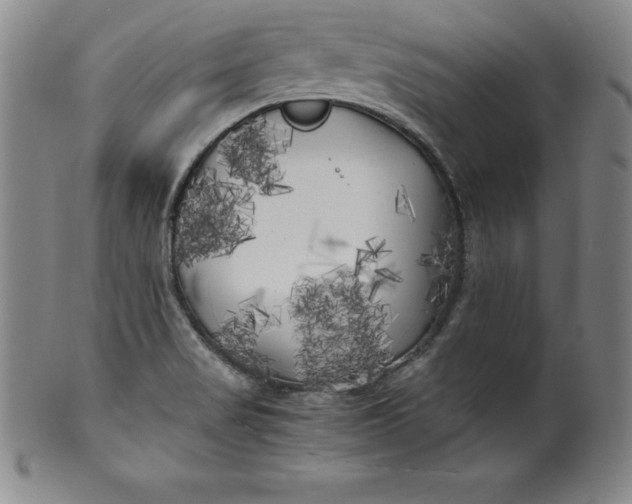 X0000100491517200806271225