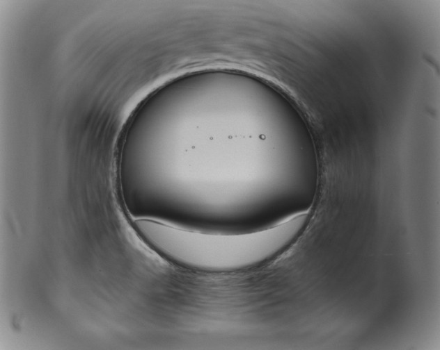 X0000100491518200806271225