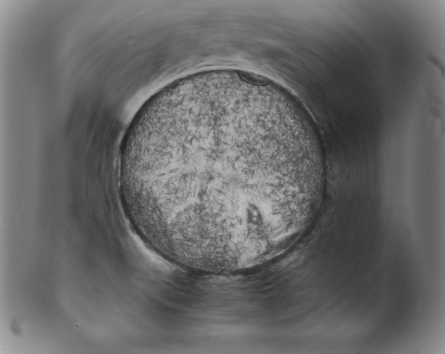 X0000100491519200806271225