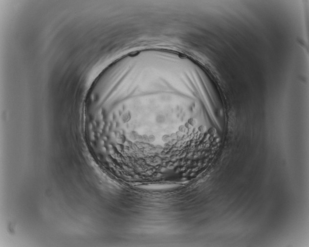 X0000100491520200806271225