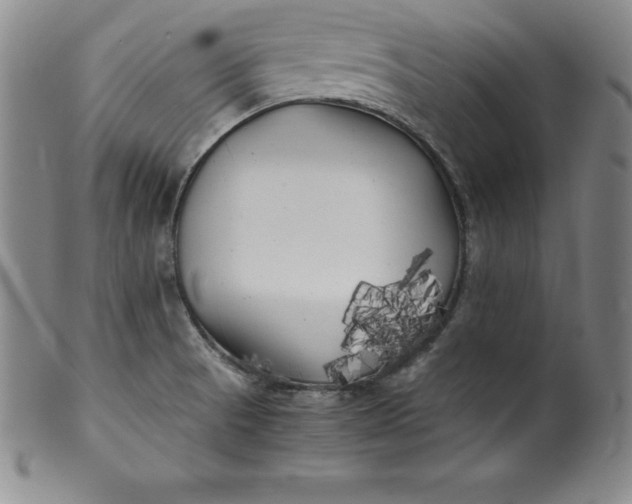 X0000100491521200806271225