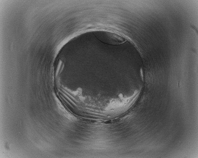 X0000100491522200806271225