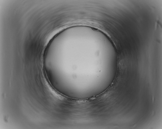 X0000100491523200806271225