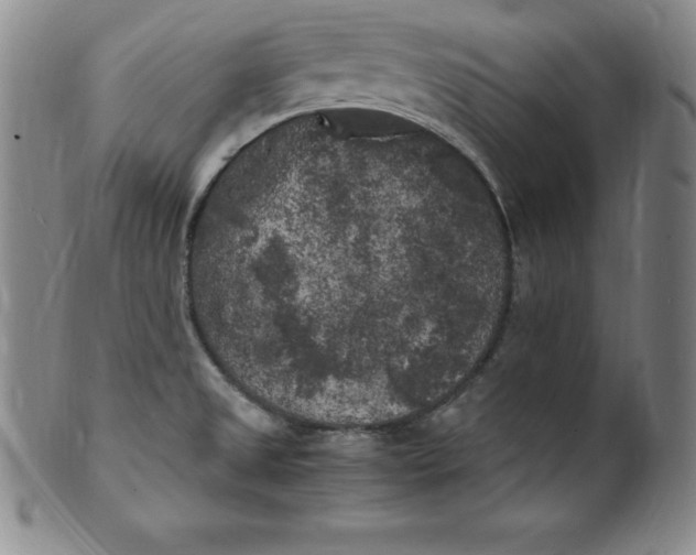 X0000100491525200806271225