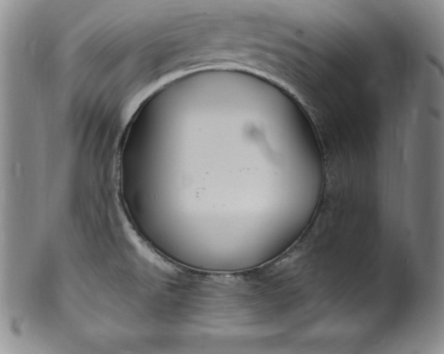 X0000100491526200806271225