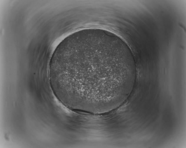 X0000100491527200806271225