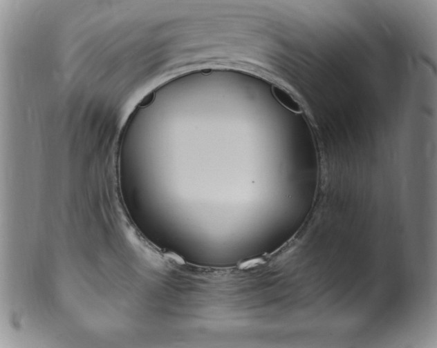 X0000100491530200806271225