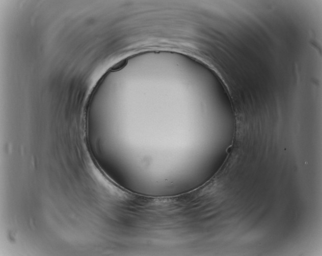 X0000100491531200806271225