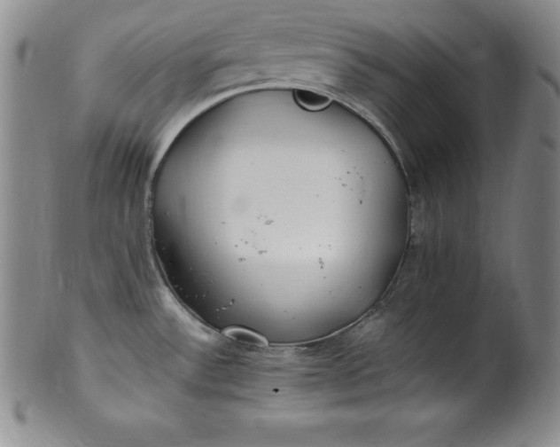 X0000100491532200806271225