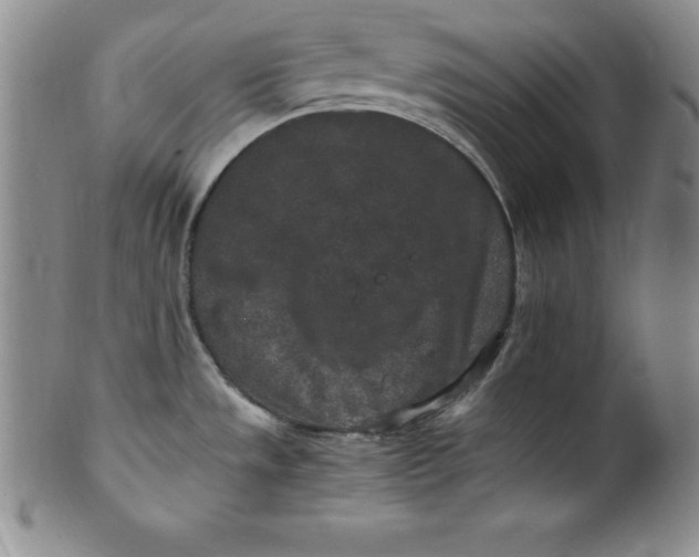 X0000100491533200806271225