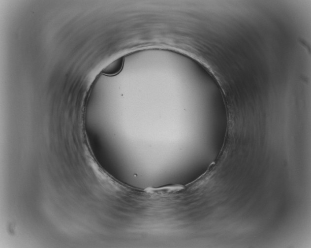 X0000100491534200806271225