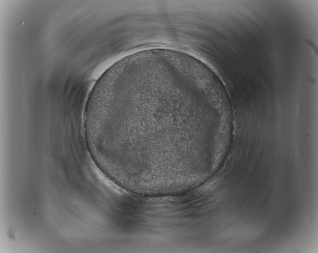 X0000100491535200806271225