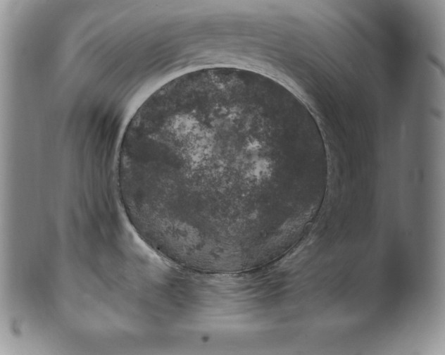 X0000100491536200806271225