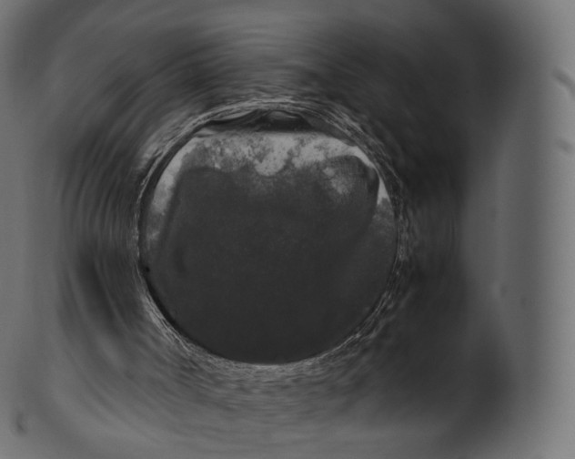 X0000100490002200807031927