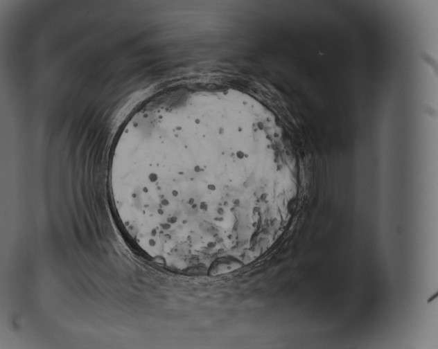 X0000100490003200807031927