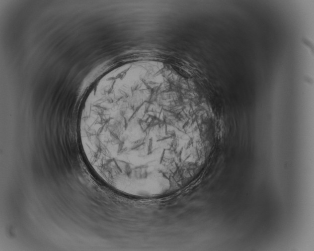 X0000100490004200807031927