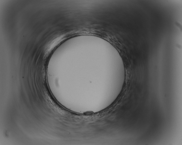 X0000100490005200807031927