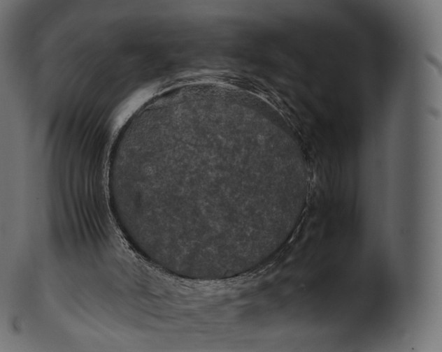 X0000100490006200807031927