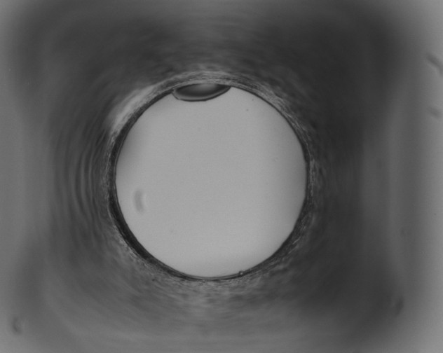 X0000100490007200807031927