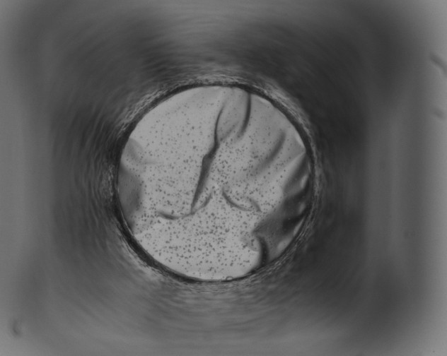 X0000100490009200807031927