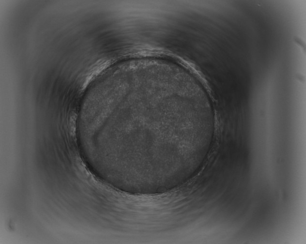 X0000100490010200807031927