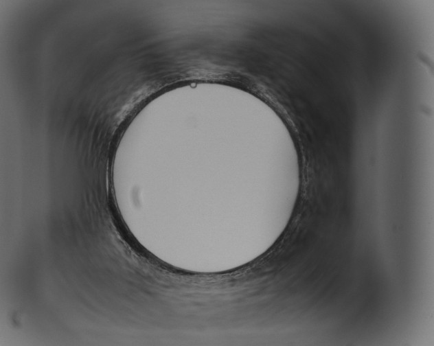 X0000100490011200807031927