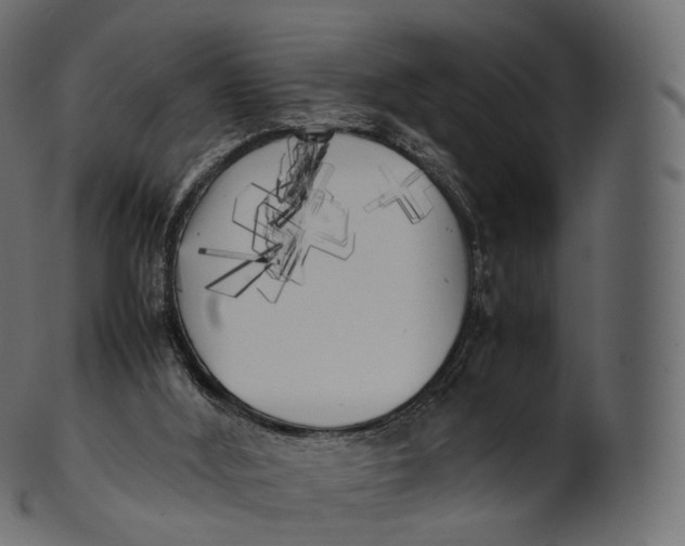 X0000100490012200807031927