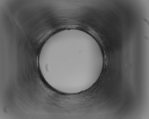 X0000100490013200807031927