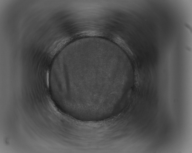 X0000100490014200807031927