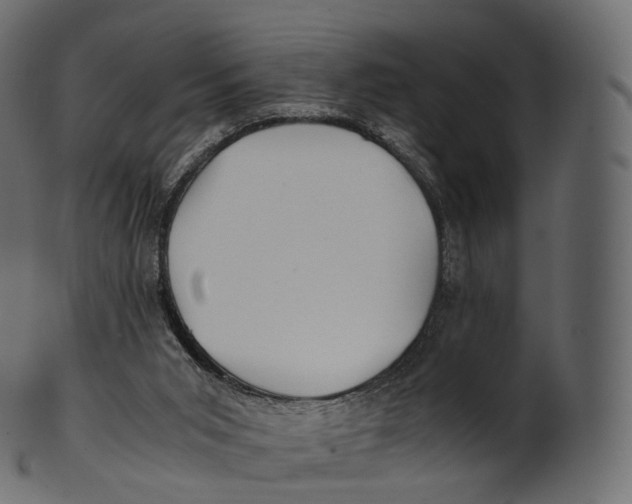 X0000100490015200807031927