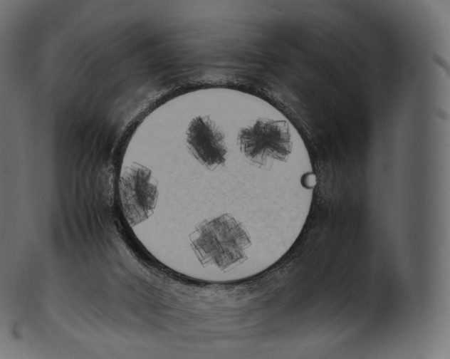 X0000100490016200807031927