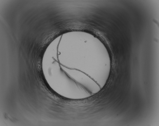 X0000100490017200807031927