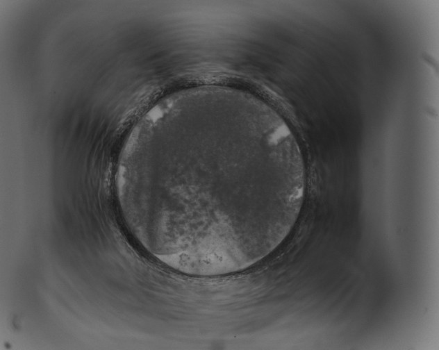 X0000100490018200807031927