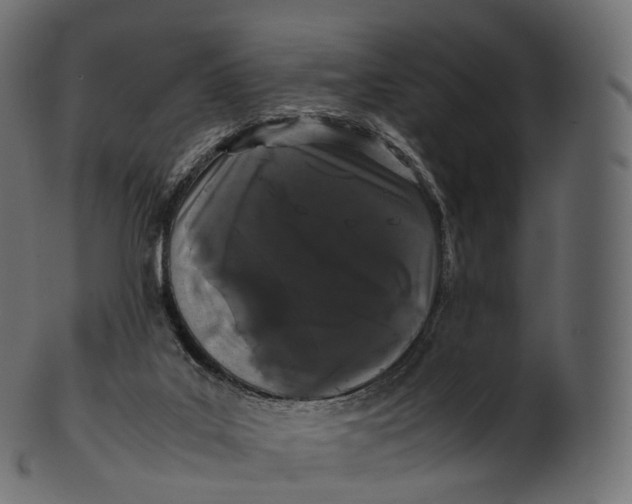 X0000100490019200807031927