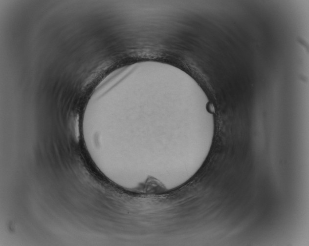 X0000100490020200807031927