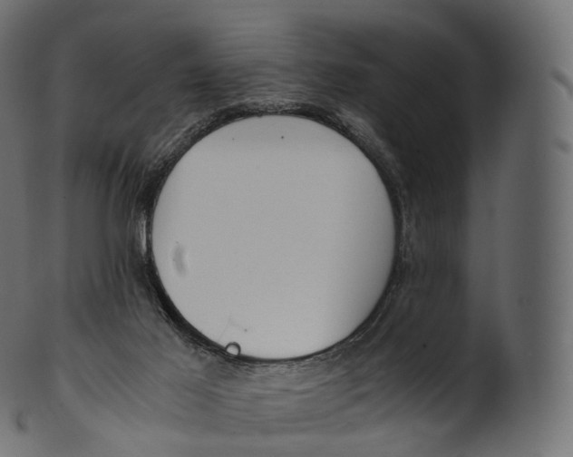 X0000100490021200807031927