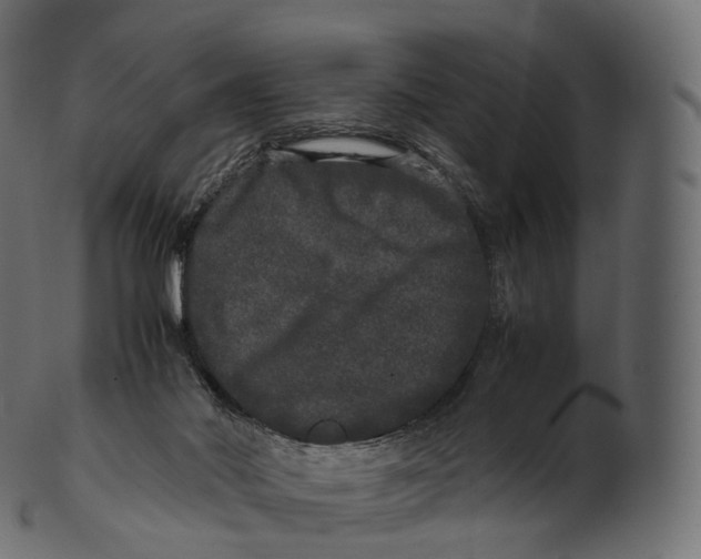 X0000100490022200807031927