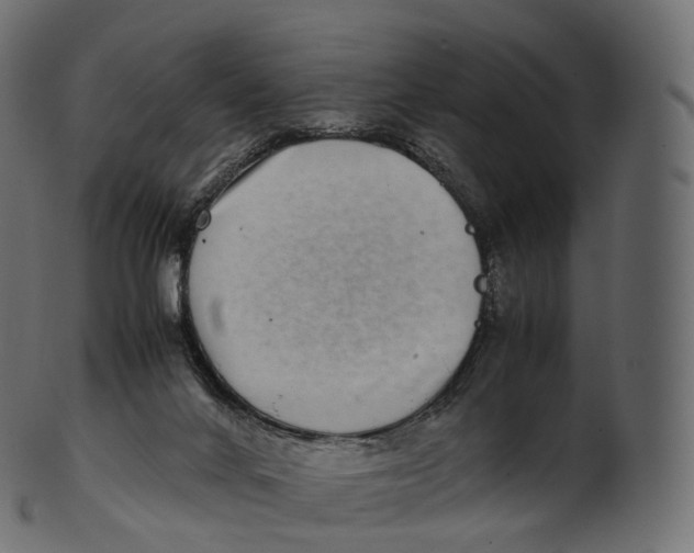 X0000100490024200807031927