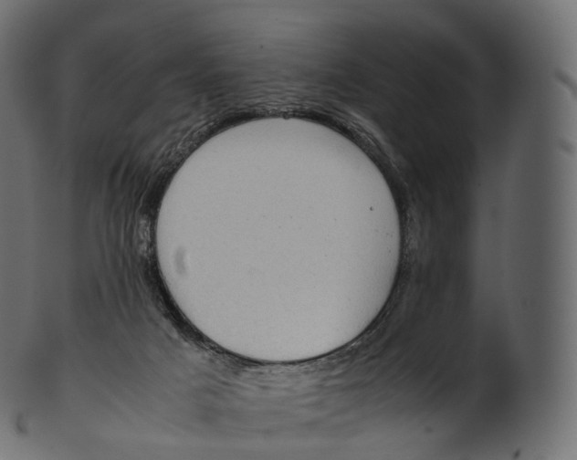 X0000100490025200807031927